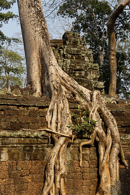 Ta Phrom et environs-104